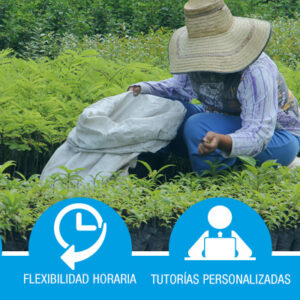 Certificado de Profesionalidad: Actividades Auxiliares en Agricultura (AGAX0208)