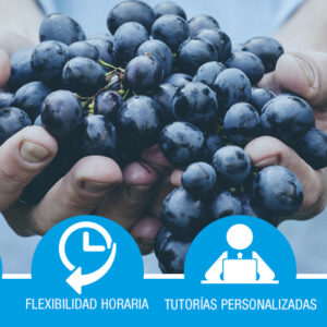 Certificado de Profesionalidad: Fruticultura (AGAF0108)