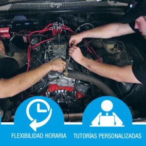 Certificado de Profesionalidad: Mantenimiento del Motor y sus Sistemas Auxiliares (TMVG0409)