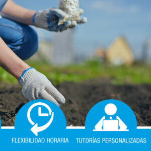 Prevención Riesgos Laborales en Sector Agrícola *