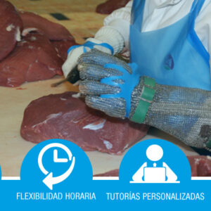 ACONDICIONAMIENTO DE LA CARNE PARA SU USO INDUSTRIAL *