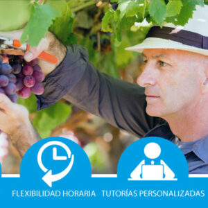 Operaciones culturales en los cultivos y de mantenimiento de instalaciones en explotaciones agrícolas (bonificada)