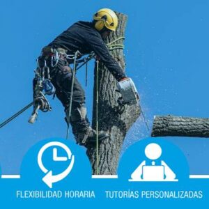 Ejecución de trabajos en altura en los árboles*